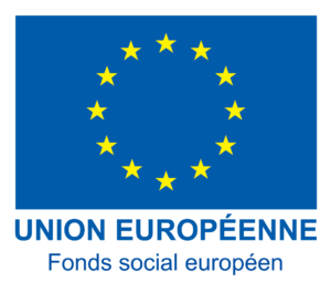 3-Logo UE FSE couleur
